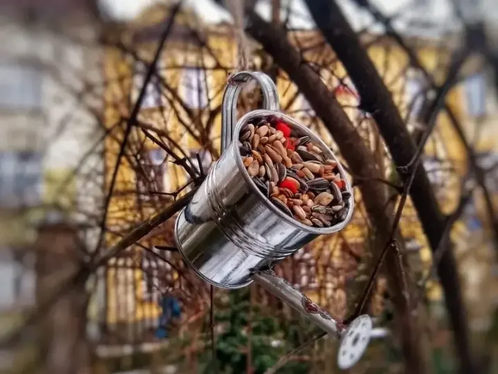 Dokarmiamy ptaki w ogrodzie: zdjęcie 3
