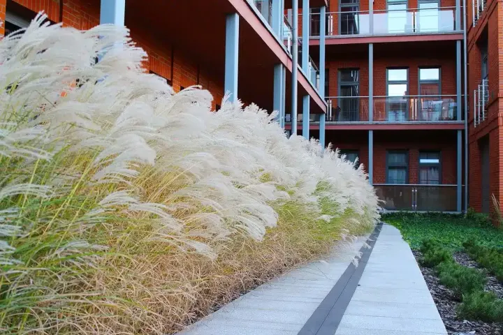 City Park: zdjęcie z realizacji 4