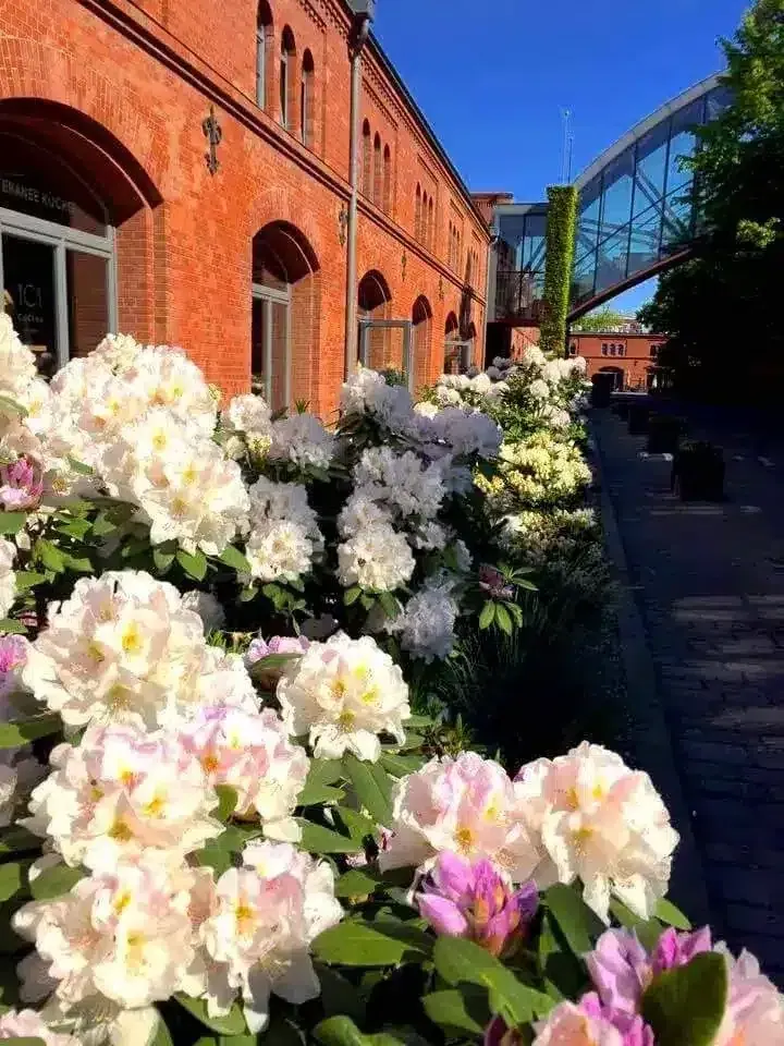 City Park: zdjęcie z realizacji 7