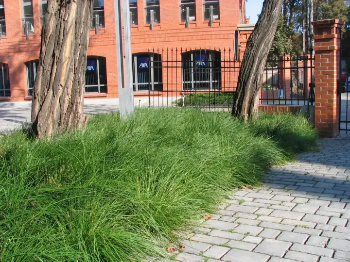 City Park: zdjęcie z realizacji 8