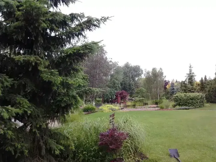 Ogród ze stawem kąpielowym w Szczepankowie w Poznaniu: zdjęcie z realizacji 2